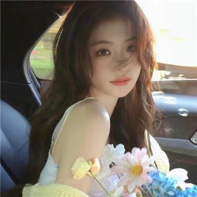 企鹅之岛:福克兰